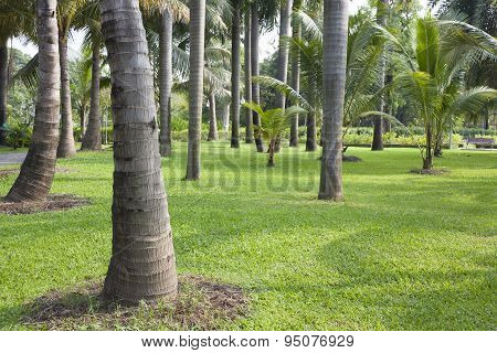 Manila Palm Park
