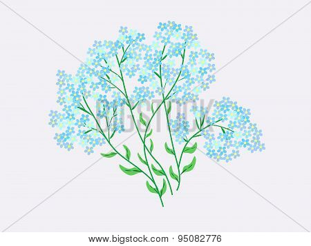 Flowers blue forget-me-nots natural background