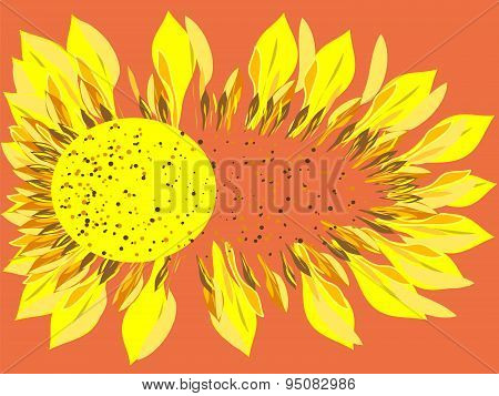 Bright Sunflower flower scatters