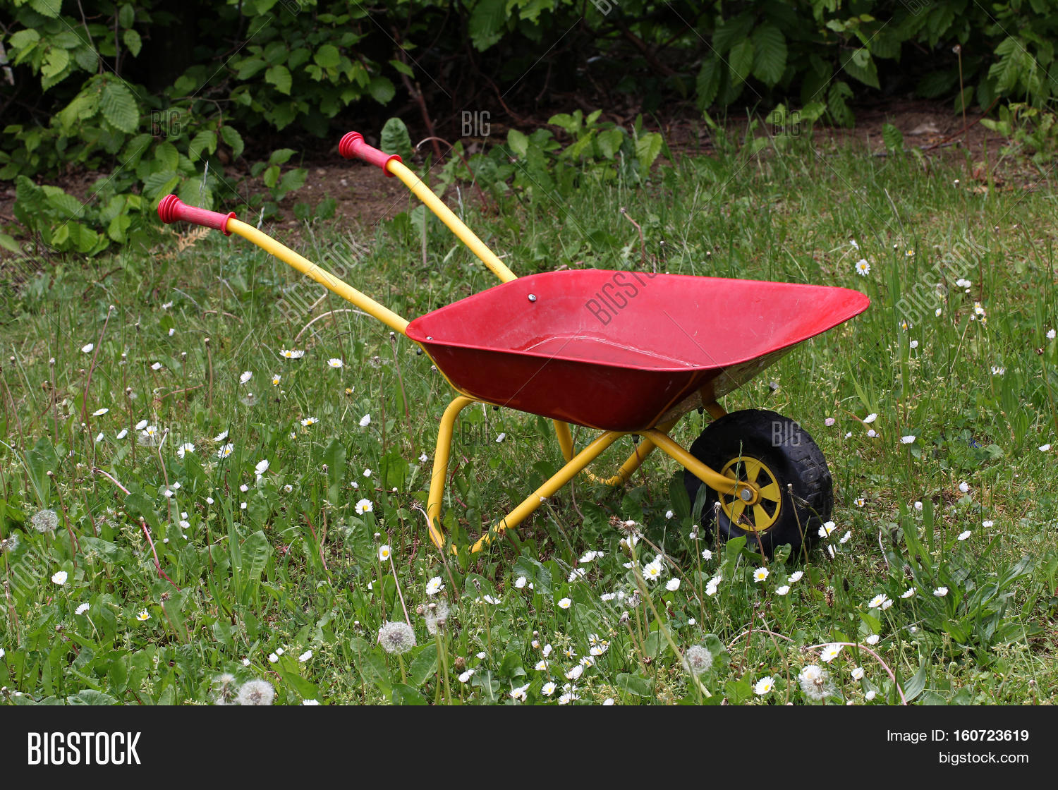Wheelbarrow / Children Image & Photo (Free Trial) Bigstock