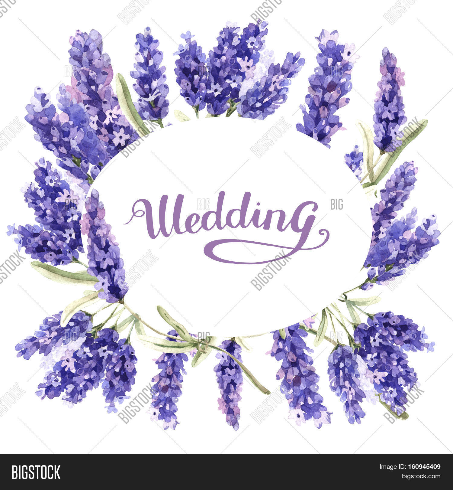 Wildflower Lavender Image &amp; Photo (Free Trial) | Bigstock
