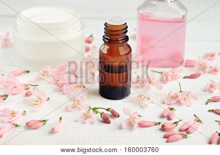 Botanical fragrant cosmetic. Essential oil bottle, facial cream, tonic, fresh pink blossom petals. Focus on bottle.