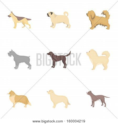 Dog breeds set icons in cartoon style. Big collection of dog breeds vector symbol stock