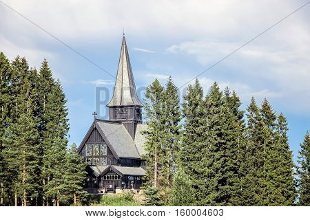 trees around Holmenkollen Kapell chapel in oslo