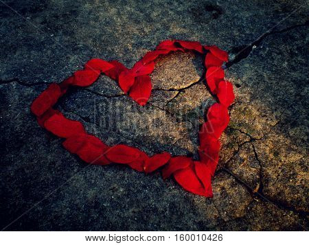 a heart made with leaves from the trees