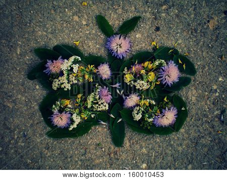 small children game with flowers on the road