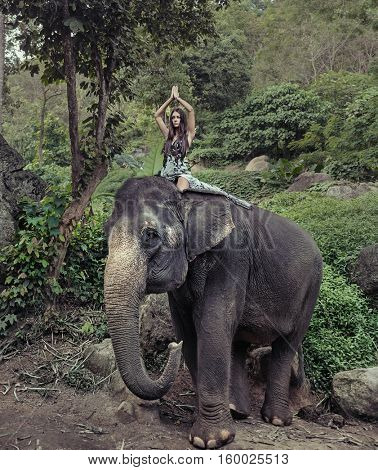 Fine art fashion image of an brunette beauty posing with an elephant