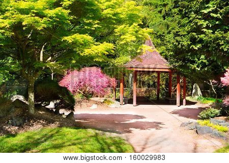 Japanese Garden In Point Defiance Park. Tacoma, Wa