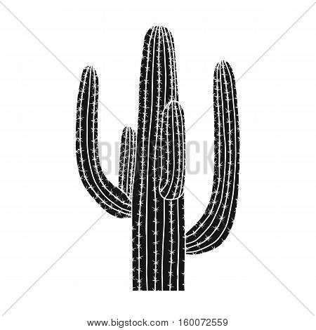 Mexican cactus icon in black style isolated on white background. Mexico country symbol vector illustration.