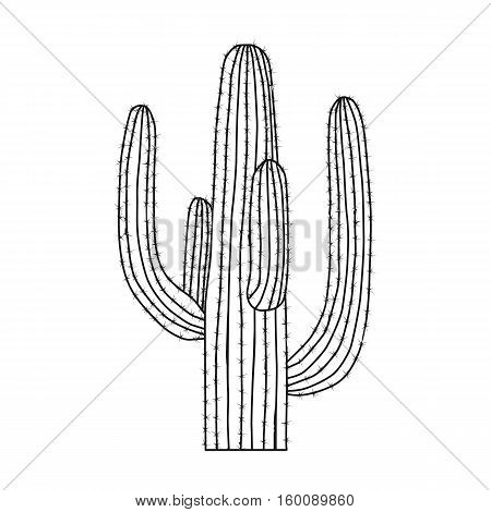 Mexican cactus icon in outline style isolated on white background. Mexico country symbol vector illustration.