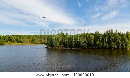 Beautiful summer landscape Svir River in the north of Russia, Karelia.