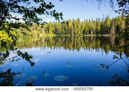 Beautiful recreational areas on the island of Valaam. Karelia, north of Russia.