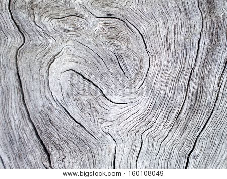 Wood texture. Gray timber board with weathered crack lines. Natural background for shabby chic design. Grey wooden floor image. Aged tree surface close-up backdrop template