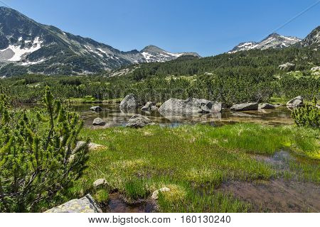 Amazing Landscape of Dzhano peak and banski lakes, Pirin Mountain, Bulgaria