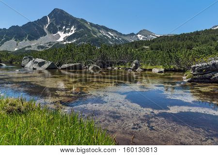 Green grass, Sivrya peak and Banski lakes, Pirin Mountain, Bulgaria