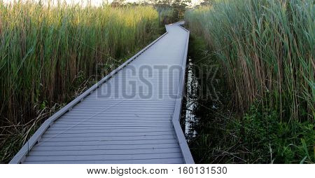 The path to the Fire Island Lighthouse through the beach grass