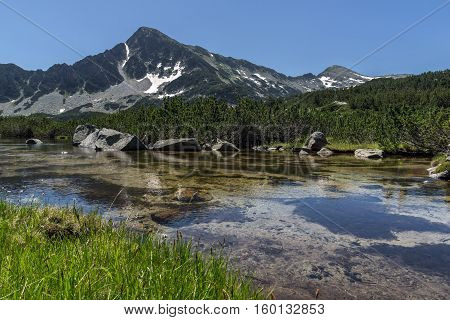 Green grass, Sivrya peak and Banski lakes, Pirin Mountain, Bulgaria