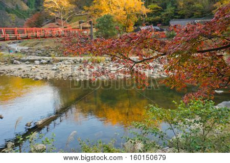 Beautiful Landscape In Autumn At Korankei, Japan