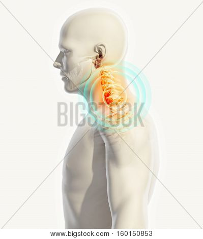 Neck Painful - Cervica Spine Skeleton X-ray, 3D Illustration.