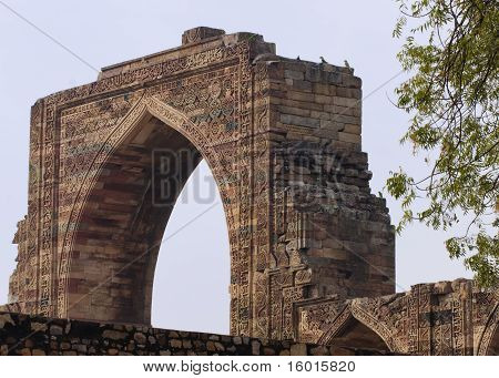Papoušci na starověké arabský brána v Qut'b Minar v Dillí.