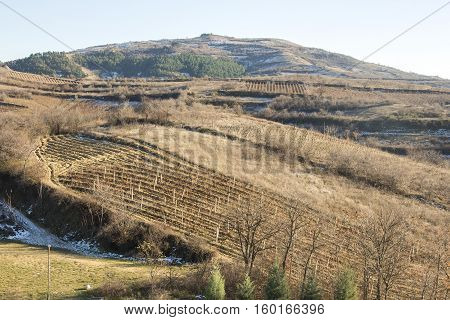Tikvesh vineyards. Kavadarci, Macedonia.The Tikvesh wine region. The heart of Macedonia wine industry.