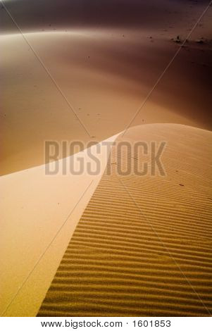 Duny Erg Chebbi Merzouga