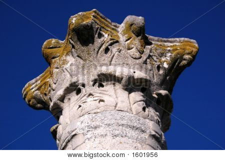 Column7