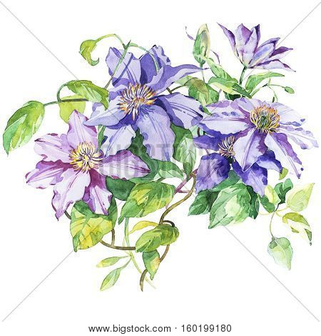 Flowers watercolor illustration. Manual composition. Hand drawn watercolor sketch for wedding design. Bouquet and boutonniere