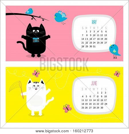 Cat horizontal calendar 2017. Cute funny cartoon character set. May June spring month. Photo camera blue bird branch pink butterfly insect net. Dash line track. Flat design Vector