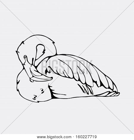 Hand-drawn pencil graphics, flamingo. Engraving, stencil style. Black and white logo, sign, emblem, symbol. Stamp, seal. Simple illustration. Sketch.