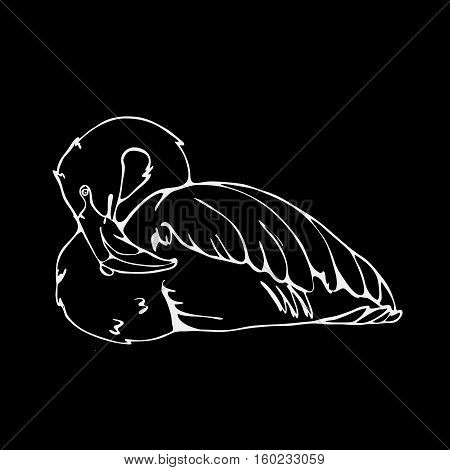 Hand-drawn pencil graphics, flamingo. Engraving, stencil style. Black and white logo, sign, emblem, symbol. Stamp, seal. Simple illustration. Sketch.