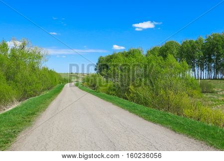 The road turns summer day sunny weather around trees and hills