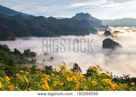 Morning fog on sunrise in the Phulanka, Phayao