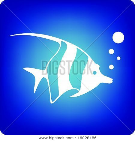 Bannerfish