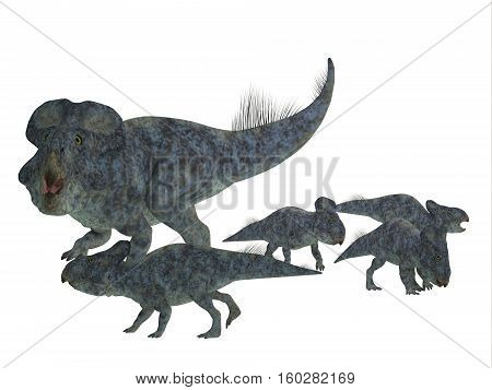 Protoceratops Mother with Offspring 3D Illustration - Protoceratops was a herbivorous Ceratopsian dinosaur that lived in Mongolia in the Cretaceous Period.