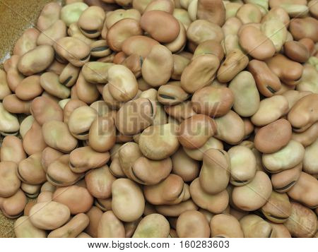 Broad Bean Background