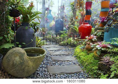 garden of design .Color mix of Ornamental plants.