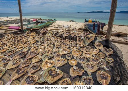 Traditional salted fish drying on racks in Semporna,Sabah,Borneo.Bajau Laut or Sea Gypsy sell their surplus catch as dried and salted fish through nearest town in Semporna,Sabah.