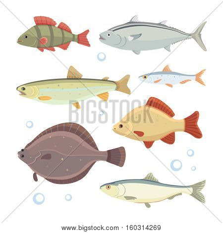 set cute river fish flat illustration on white
