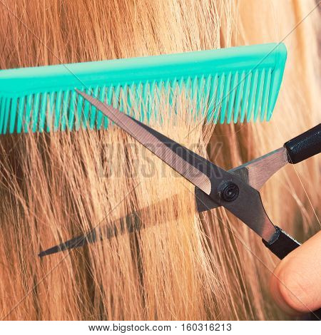 Woman Cutting Down Smoothy Hair.