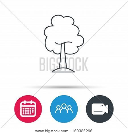 Maple tree icon. Forest wood sign. Nature environment symbol. Group of people, video cam and calendar icons. Vector