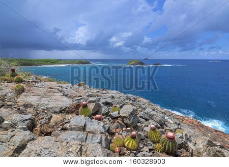 Melon cactus growing on rocky bluff of Punta de Molinos on Isla Culebra overlooking deep blue Caribbean Sea and small islands under stormy sky