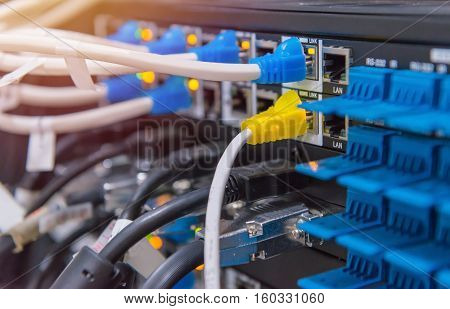 Lan Cable Connect To Network Switch For Internet Or Ethernet