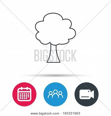 Tree icon. Forest wood sign. Nature environment symbol. Group of people, video cam and calendar icons. Vector