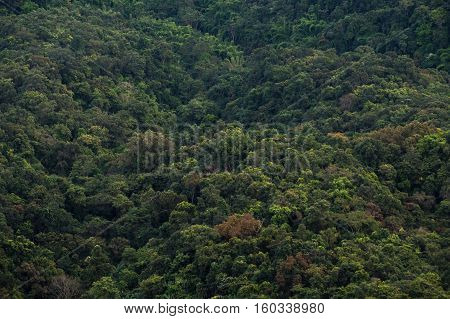 Mountain view from Doi pha phung peak in Nan province, Thailand.