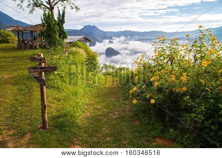 Morning fog on sunrise in the Phulanka, Phayao