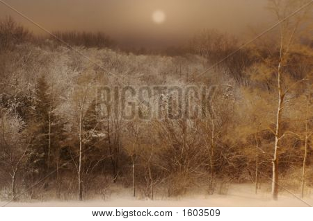 Kusliga skogen