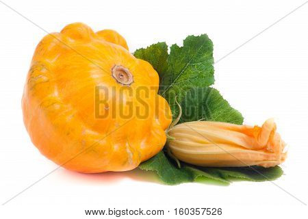 yellow pattypan squash with leaf and flower isolated on white background.