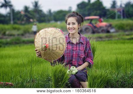 women farmers in rice fields .farmer girl.