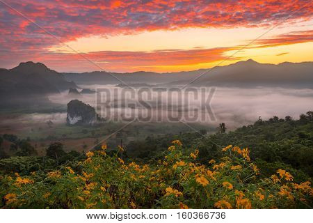 Morning fog on sunrise in the Phulanka, Phayao